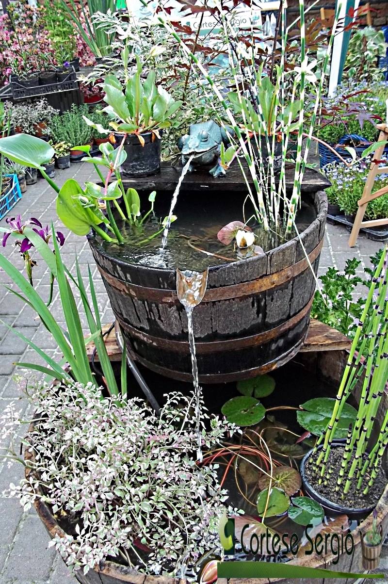 Fontana realizzata con una botte e piante acquatiche